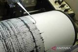 BMKG: Gempa bumi magnitudo 5,5 guncang Jayapura