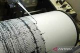 BMKG: Gempa bumi magnitudo 5,3 guncang Sarmi Papua