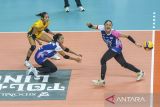 Pevoli putri Jakarta Livin Mandiri Aulia Nurfadila (kanan) berusaha mengembalikan bola ke arah pevoli putri Yogya Falcons pada pertandingan PLN Mobile Proliga 2025 putaran kedua pekan kelima di Gor Indoor Jalak Harupat, Kabupaten Bandung, Jawa Barat, Sabtu (8/2/2025). Jakarta Livin Mandiri menang dengan skor 3-0 (25-23, 25-8, 25-20). ANTARA FOTO/Raisan Al Farisi/agr