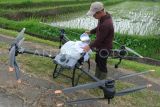 Petani muda memasukkan pupuk organik cair ke dalam tangki drone pertanian atau pesawat tanpa awak di persawahan Desa Jatiluwih, Tabanan, Bali, Sabtu (8/2/2025). Sebagian besar lahan pertanian padi beras merah di desa tersebut saat ini proses pemupukannya dilakukan menggunakan drone yang dimulai sejak Januari 2025. ANTARA FOTO/Nyoman Hendra Wibowo/rwa.