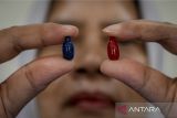 Kader Posyandu memperlihatkan kapsul vitamin A di Posyandu Melati V, Periuk, Kota Tangerang, Banten, Senin (10/2/2025). PPemerintah Kota Tangerang menargetkan 74.269 balita menerima suplementasi pada program Bulan Vitamin A yang berlangsung selama Februari ini sebagai upaya menjaga kesehatan indra penglihatan dan meningkatkan daya ketahanan tubuh. ANTARA FOTO/Putra M. Akbar/gp