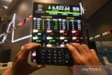 Jumlah investor pasar modal di Indonesia capai 15 juta