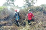 Karhutla mulai terjadi di Kotim