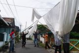 Sejumlah warga Suku Osing mengangkat kain kafan (lawon) di Balai Tajuk Cungking, Banyuwangi, Jawa Timur, Kamis (13/2/2025). Tradisi resik lawon yang digelar secara turun-temurun oleh warga Suku Osing setiap bulan Ruwah pada penanggalan Jawa tersebut untuk mensucikan diri jelang menghadapi bulan suci Ramadan. Antara Jatim/Budi Candra Setya/um