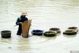 Warga mengais lumpur dari dasar sungai dan kemudian menyaringnya untuk mendapatkan cacing sutra (tubifex) yang melimpah di sepanjang bantaran Sungai Ngrowo, Tulungagung, Jawa Timur, Kamis (13/2/2025). Cacing sutra hasil perburuan selama kurang lebih empat jam mulai pukul 09.00 WIB hingga 13.00 WIB  itu kemudian dijual warga dengan harga Rp6 ribu hingga Rp8 ribu per kaleng susu kental manis kapasitas 0,3 liter untuk memenuhi kebutuhan pakan ikan hias di daerah itu. ANTARA Jatim/Destyan Sujarwoko/mas.