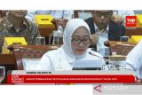 Anggaran KemenPPPA turun Rp146 Miliar karena efisiensi