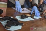 Polisi memperlihatkan senjata api rakitan saat rilis pengungkapan kejahatan di Polres Ciamis, Jawa Barat, Rabu (12/2/2025). Satreskrim bekerja sama dengan Satintelkam Polres Ciamis menangkap satu orang tersangka penjual dan perakit senjata api ilegal dengan barang bukti berupa dua senpi rakitan, dua senjata mainan revolver, senjata mainan revolver dompis, dan softgun revolver. ANTARA FOTO/Adeng Bustomi/agr