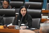 Revisi UU Pariwisata perjelas pembagian tugas pusat-daerah