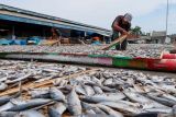 Pekerja membalik ikan asin yang dijemur di Muncar, Banyuwangi, Jawa Timur, Jumat (14/2/2025). Perajin ikan asin di daerah tersebut mengaku mulai menggunakan ikan beku (Cold Storage) untuk memenuhi kebutuhan bahan bakunya karena kesulitan mendapatkan pasokan ikan segar dari nelayan yang tidak melaut akibat cuaca buruk. ANTARA Jatim/Budi Candra Setya/mas.