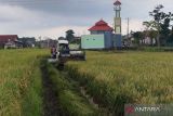 Bulog mulai serap gabah petani di Kudus