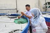 Tak punya lahan luas bukan kendala untuk kembangkan benih udang vaname