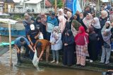 Pemkot gandeng UMKM tebar 3.000 benih ikan baung  di Sungai Musi