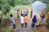 Kampoeng Kakao Menoreh, digadang dongkrak ekonomi Kulon Progo