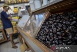 Pedagang menata buah  kurma di Pasar Kemis, Kabupaten Tangerang, Banten, Senin (17/2/2025). Badan Pusat Statistik mencatat volume impor kurma Indonesia sebesar 16,43 ribu ton dengan nilai 20,68 juta dolar AS atau sekitar Rp335 miliar pada bulan Januari 2025 atau dua bulan menjelang Ramadhan. ANTARA FOTO/Putra M. Akbar/gp