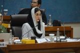 RUU Kepariwisataan beri fokus aspek infrastruktur dasar