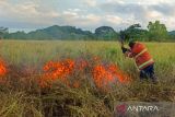 Damkarmat Natuna padamkan karhutla di Bunguran Selatan Natuna