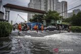 Tide Eye kembangkan inovasi sistem monitoring banjir rob