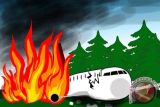 Pesawat Air India dengan 242 orang dilaporkan jatuh