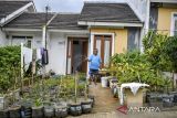 Warga menyiram air sayuran yang ditanam di pekarangan rumah subsidi di Perumahan Subsidi Buana Cicalengka Raya, Cicalengka Kabupaten Bandung, Jawa Barat, Selasa (18/2/2025). PT Bank Tabungan Negara (Persero) Tbk telah mengusulkan kepada pemerintah sebagai terobosan untuk meningkatkan penyaluran target tiga juta rumah, di antaranya yakni perubahan skema subsidi atau bantuan pembiayaan perumahan, perpanjangan jangka waktu pembiayaan sehingga angsuran menjadi lebih murah, serta permintaan dukungan untuk alternatif sumber pendanaan selain dari Anggaran Pendapatan dan Belanja Negara (APBN). ANTARA FOTO/Raisan Al Farisi/agr