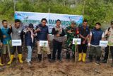 PT Timah kembali tanam 3.000 mangrove di Karimun