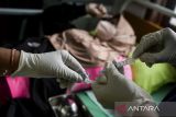 Pelayanan KB gratis di Tangerang. Petugas kesehatan menyiapkan obat bius sebelum memasang alat kontrasepsi KB implan kepada akseptor di UPT Puskesmas Cibodasari, Kota Tangerang, Banten, Rabu (19/2/2025). Pelayanan KB gratis bagi masyarakat tersebut untuk meningkatkan kesertaan penggunaan metode kontrasepsi jangka panjang pada wanita berupa implan sebagai upaya mewujudkan keluarga kecil yang sejahtera. ANTARA FOTO/Putra M. Akbar/gp