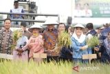 OKU Timur target cetak sawah baru 11 ribu Ha