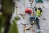 Atlet muda yang tergabung dalam Parahyangan Sport Climbing berlatih memanjat lead climbing di Pusat Latihan Terpadu Atlet Panjat Tebing, Kabupaten Bandung Barat, Jawa Barat, Rabu (19/2/2025). Klub panjat tebing yang berdiri di bawah organisasi Federasi Panjat Tebing Indonesia (FPTI) Kabupaten Bandung Barat tersebut terus berupaya melakukan regenerasi atlet muda dengan menjaring bibit bakat atlet sejak usia dini untuk menghadapi ajang kompetisi tingkat regional hingga nasional. ANTARA FOTO/Abdan Syakura/agr