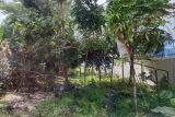 Polisi proses kasus pelaporan mantan Wabup Lombok Tengah