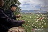 Tokoh masyarakat bersama warga menaburkan bunga di titik longsor bekas TPA Leuwigajah, Kota Cimahi, Jawa Barat, Jumat (21/2/2025). Aksi tabur bunga dan teatrikal tersebut dilakukan dalam rangka memperingati Hari Peduli Sampah Nasional (HPSN) serta dua dekade tragedi longsornya sampah di TPA Leuwigajah yang menewaskan 157 orang. ANTARA FOTO/Abdan Syakura/agr