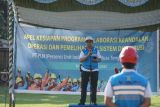 PLN NTB lakukan kolaborasi keandalan operasi dan pemeliharaan sistem distribusi