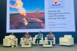 Industri butuh kepastian, Saleh Husin desak pemerintah atasi masalah gas dan logistik