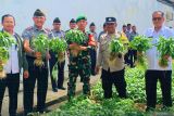 Rutan Tanjungpinang panen 150 kg kangkung