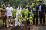 Menteri Kehutanan (Menhut) Raja Juli Antoni (ketiga kanan) bersama Wakil Menteri Kehutanan Sulaiman Umar (kanan), Staf Khusus Menkomdigi Raline Shah (ketiga kiri), Wakil Wali Kota Tangerang Selatan Pilar Saga Ichsan (kiri), dan Presiden Direktur PT Aviary Jaya Lestari Michael Sumampau (kedua kiri), Pengusaha Rahmat Shah (kedua kanan) menanam pohon saat peresmian Aviary Park Indonesia, di Tangerang Selatan, Banten, Senin (24/2/2025).  Menteri Kehutanan meresmikan Aviary Park Indonesia sebagai pusat konservasi satwa dan destinasi wisata ramah lingkungan serta menjadi tempat untuk pengembangbiakan species yang dilindungi seperti Jalak Bali dan juga Kupu kupu. ANTARA FOTO/Galih Pradipta/gp