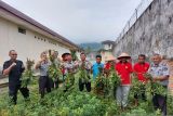 Rutan kelas IIB Lubuk Sikaping manfaatkan pekarangan tanam kacang tanah dukung ketahanan pangan