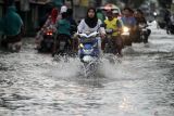 Pengendara menerobos banjir yang merendam Desa Balong Gabus, Candi, Sidoarjo, Jawa Timur, Selasa (25/2/2025). Intensitas curah hujan tinggi serta sungai yang tidak dapat menampung debit air menyebabkan banjir di sejumlah kecamatan di Sidoarjo. Antara Jatim/Umarul Faruq