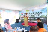 Staf Ahli Bupati Bangka Bidang Pembangunan Manusia dan Kebudayaan, Kabupaten Bangka, Provinsi Kepulauan Bangka Belitung, Boy Yandra  saat memberikan sambutan pada pada kegiatan  penanaman pohon manggrove di Pantai Batu Ambar, Kabupaten Bangka pada Selasa (26/2/2025). Penanaman pohon manggrove tersebut dalam rangka  Hari Bhakti HUT ke-53 Basarnas serta rangkaian  kegiatan aksi kepedulian terhadap  lingkungan pesisir dan menjaga kelestarian biota laut. (Antara/ Rustam)
