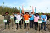 Kepala Kantor Pencarian dan Pertolongan Pangkalpinang I Made Oka Astawa (tengah) bersama unsur Forkopimda Babel dan instansi vertikal yang ada di kepulauan Bangka Belitung saat melakukan penanaman pohon manggrove di Pantai Batu Ambar, Kabupaten Bangka pada Selasa (26/2/2025). Penanaman pohon manggrove tersebut dalam rangka  Hari Bhakti HUT ke-53 Basarnas serta rangkaian  kegiatan aksi kepedulian terhadap  lingkungan pesisir dan menjaga kelestarian biota laut. (Antara/ Rustam)