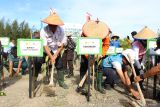 Kepala Kantor Pencarian dan Pertolongan Pangkalpinang I Made Oka Astawa dan Staf Ahli Bupati Bangka Bidang Pembangunan Manusia dan Kebudayaan, Kabupaten Bangka, Provinsi Kepulauan Bangka Belitung, Boy Yandra saat melakukan  penanaman pohon manggrove di Pantai Batu Ambar, Kabupaten Bangka pada Selasa (26/2/2025). Penanaman pohon manggrove tersebut dalam rangka  Hari Bhakti HUT ke-53 Basarnas serta rangkaian  kegiatan aksi kepedulian terhadap  lingkungan pesisir dan menjaga kelestarian biota laut. (Antara/ Rustam)