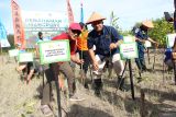 Kepala Perum LKBN Antara Babel Joko Susilo (kiri) saat melakukan  penanaman pohon manggrove di Pantai Batu Ambar, Kabupaten Bangka pada Selasa (26/2/2025). Penanaman pohon manggrove tersebut dalam rangka  Hari Bhakti HUT ke-53 Basarnas serta rangkaian  kegiatan aksi kepedulian terhadap  lingkungan pesisir dan menjaga kelestarian biota laut. (Antara/ Rustam)