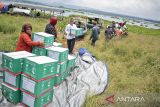 Petugas Baznas dibantu warga menurunkan logistik paket bantuan sembako dari atas perahu di Kampung Cijuhung, Desa Margaluyu, Kabupaten Bandung Barat, Jawa Barat, Rabu (26/2/2025). Badan Amil Zakat Nasional (Baznas) Provinsi Jawa Barat bekerja sama dengan Kerajaan Arab Saudi melalui King Salman Humanitarian Aid & Centre (KSrelief) menyalurkan bantuan Paket Pangan Ramadan 1446 H sebanyak 1.400 paket di delapan kabupaten/kota di Jawa Barat sebagai upaya membantu memenuhi kebutuhan pokok bagi keluarga prasejahtera selama bulan Ramadhan. ANTARA FOTO/Abdan Syakura/agr