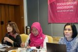 Perlu sosialisasi masif agenda WPS pada generasi muda