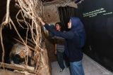 Pengunjung mengamati diorama liang kubur di Museum Etnografi dan Pusat Kajian Kematian, Universitas Airlangga (Unair), Surabaya, Jawa Timur, Kamis (27/2/2025). Museum bertema kematian yang didirikan Departemen Antropologi Fisip Unair pada September 2005 tersebut bertujuan untuk mengenalkan sejarah yang berhubungan dengan etnografi dan tradisi kematian di Nusantara. ANTARA Jatim/Rizal Hanafi/mas.