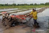 Prognosa produksi gabah di Bantul pada Februari-April capai 64.245 ton