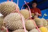 BC perketat pengawasan cegah masuknya durian ilegal Malaysia