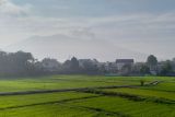 Badan Geologi sebut aktivitas Gunung Marapi alami penurunan