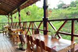 Dari bukit kapur ke destinasi hijau: Transformasi wisata Gunungkidul