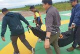 Petugas membawa kantong berisi jenazah pendaki Puncak Carstensz Pyramid yang berhasil dievakuasi di Helipad Bandara UPBU Mozes Kilangin Timika, Kabupaten Mimika, Provinsi Papua Tengah, Minggu (2/3/2025). Polres Mimika menyebut dua orang meninggal dunia dalam pendakian Puncak Carstensz Pyramid yaitu atas nama Elsa Laksono danÂ Lilie Wijayanti Poegiono. ANTARA FOTO/HO/Polda Papua Tengah/sgd/nym.