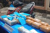 Sejumlah barang bukti narkotika jenis sabu dan ganja dihadirkan dalam rilis kasus dan pemusnahan di Badan Narkotika Nasional (BNN) Kalimantan Barat di Pontianak, Kalimantan Barat, Selasa(4/3/2025). BNNP Kalimantan Barat memusnahkan barang bukti hasil sitaan dari lima kasus tindak pidana narkotika yang berbeda yaitu berupa 9,97 kilogram sabu asal Malaysia dan 6 kilogram ganja dari Medan (Sumatra Utara), serta menangkap delapan pelaku di Pontianak, Sambas dan Sintang. ANTARA /Taras/Jhw