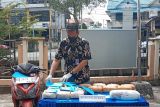 Seorang petugas menata beberapa bungkusan berisi narkotika jenis sabu dan ganja saat rilis kasus dan pemusnahan di Badan Narkotika Nasional (BNN) Provinsi Kalimantan Barat di Pontianak, Kalimantan Barat, Selasa (4/3/2025). BNNP Kalimantan Barat memusnahkan barang bukti hasil sitaan dari lima kasus tindak pidana narkotika yang berbeda yaitu berupa 9,97 kilogram sabu asal Malaysia dan 6 kilogram ganja dari Medan (Sumatra Utara), serta menangkap delapan pelaku di Pontianak, Sambas dan Sintang. ANTARA /Taras/Jhw