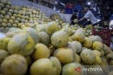 Pedagang menyortir buah melon di Pasar Induk Tanah Tinggi, Kota Tangerang, Banten, Rabu (5/3/2025). Menurut pedagang permintaan buah-buahan pada awal Ramadhan 1446 H mengalami peningkatan sehingga pedagang menambah pasokan dari dua ton menjadi tujuh ton per hari dengan buah terlaris seperti semangka, melon, timun suri dan blewah. ANTARA FOTO/Putra M. Akbar/gp